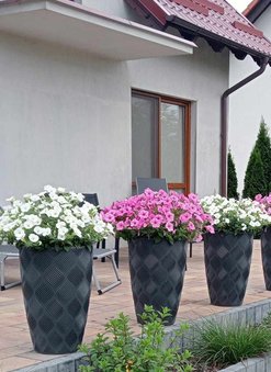 Weiße Blumenübertöpfe: Zeitlose Eleganz für Raum und Garten - Entdecken Sie den Dauerbrenner der Raumdekoration!